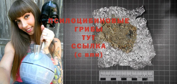 соль ск Алексин