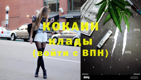 соль ск Алексин
