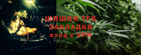 apvp Алзамай