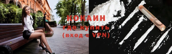 соль ск Алексин