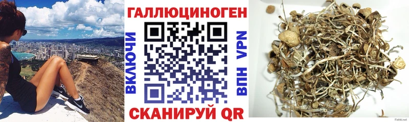 Псилоцибиновые грибы MAGIC MUSHROOMS  как найти закладки  Кувшиново 